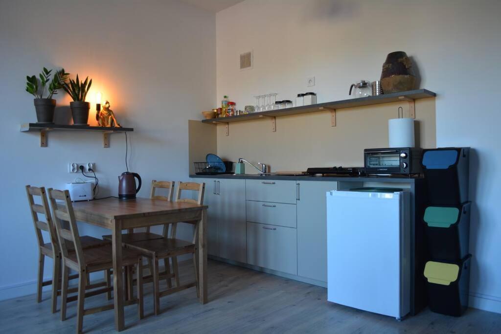 Parrot'S Apartment 克拉科夫 外观 照片